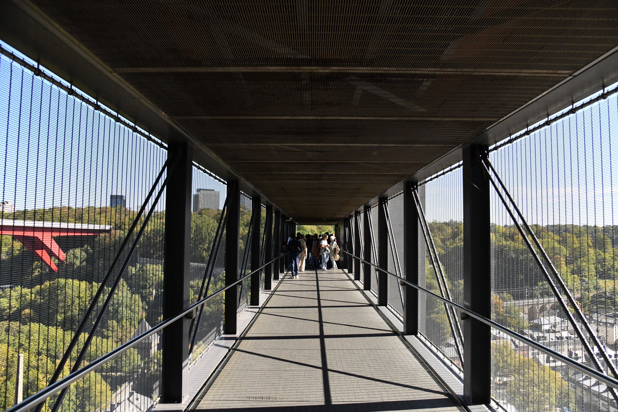 a covered footbridge over a green valley