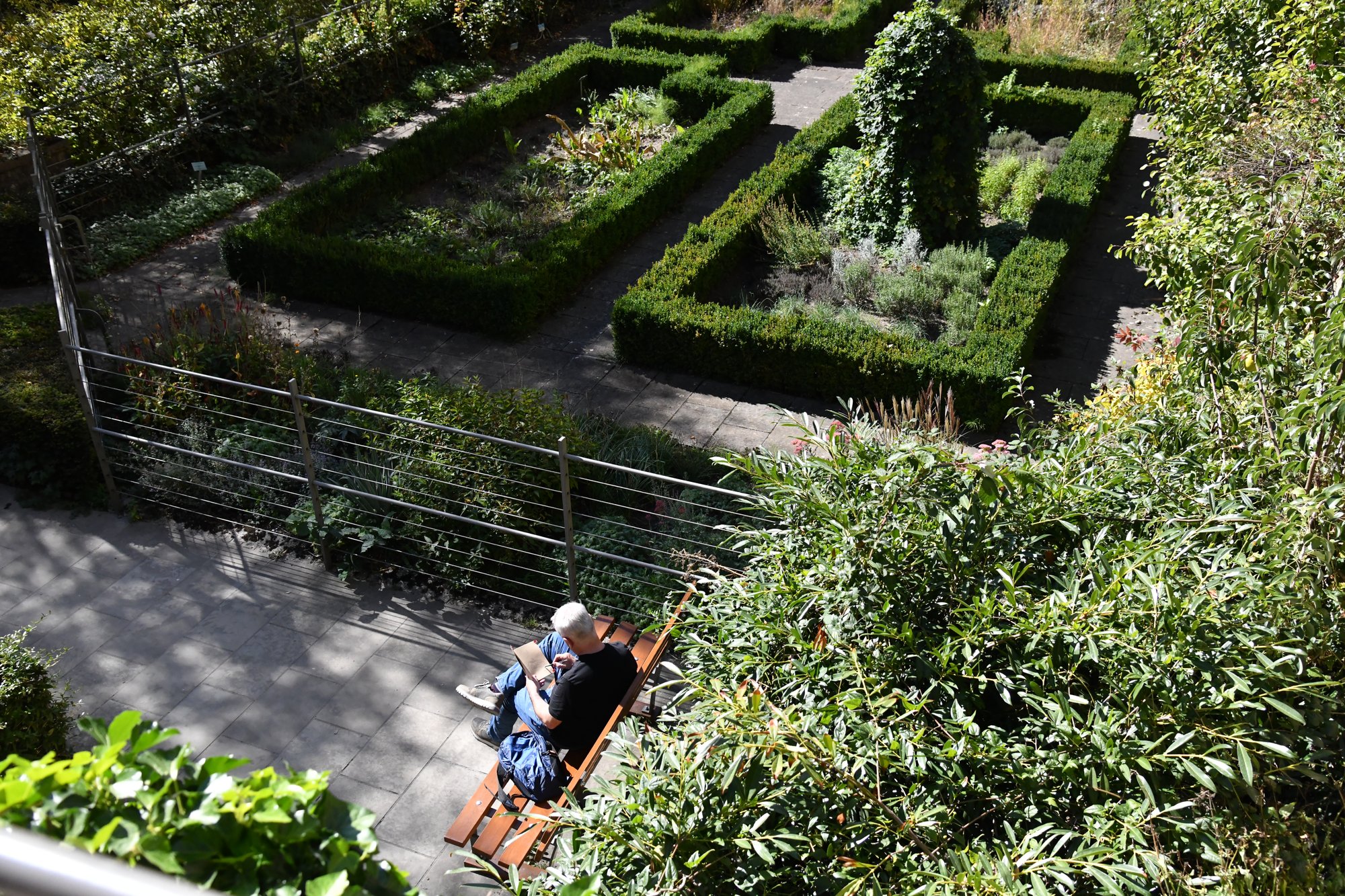 a walled garden seen from above